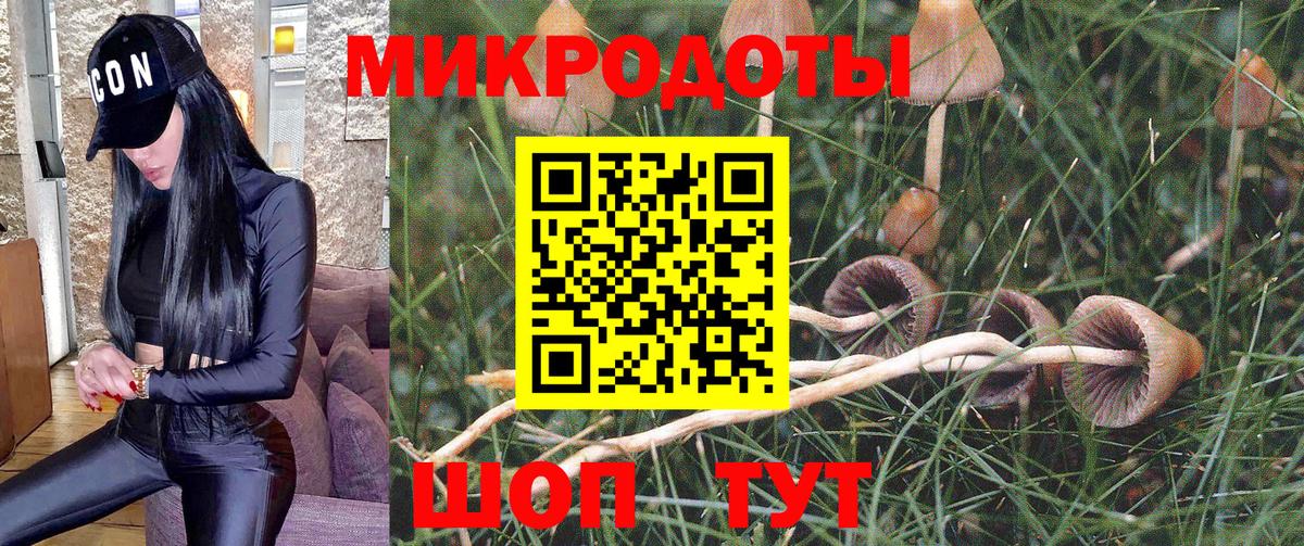 Псилоцибиновые грибы Magic Shrooms  Вход с VPN  Ейск 