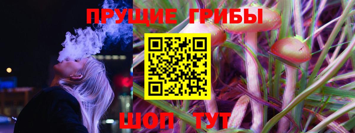 Псилоцибиновые грибы мицелий Ейск